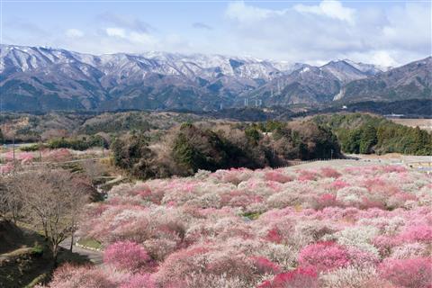 いなべ市農業公園